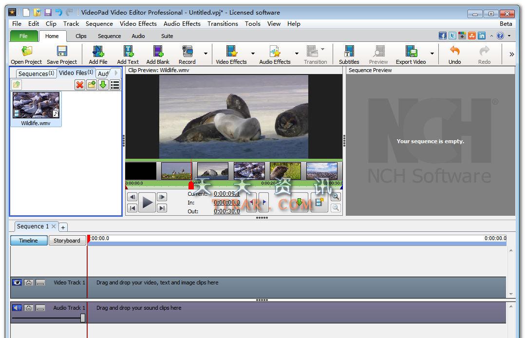 NCH VideoPad Video Editor Professional v4.00 ƽ