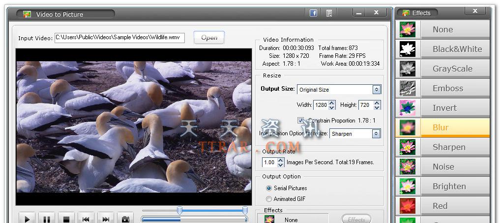 Watermark Software Video to Picture Converter v5.1 ע