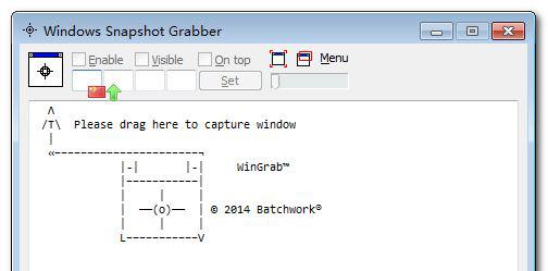 Windows Snapshot Grabber Portable v2014.6.819.2184 ɫƽ