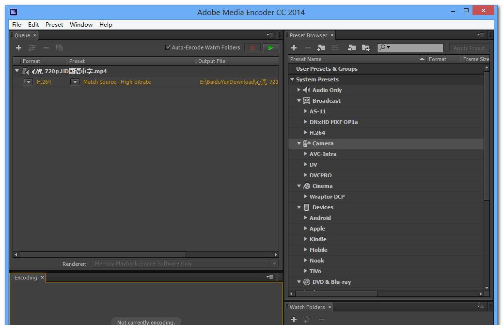 Adobe Media Encoder CC 2014 Portable v8.0.1.48 ɫЯ