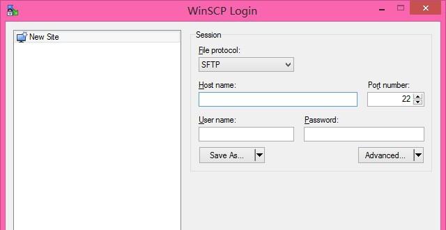 Portable WinSCP V5.5.1 ɫ