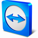 teamviewer corporate portable