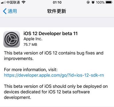 ios12 beta11