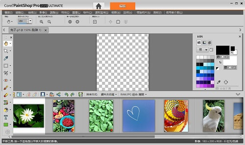 Corel PaintShop Pro X6 Portable