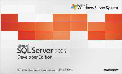 SQL Server 2005߼̳