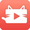 猫咪免费人成网站在线观看app