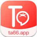 ta66.app番茄社区