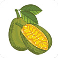 菠萝蜜视频app污片