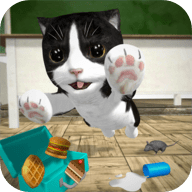 猫咪模拟器无限金币无限钻石版  4.7.1