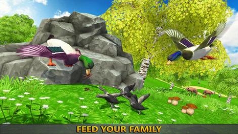 鸭子丛林模拟器游戏最新版免费下载