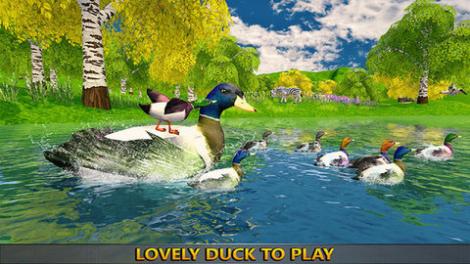 鸭子丛林模拟器游戏安卓通用版