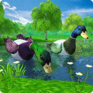 鸭子丛林模拟器游戏
