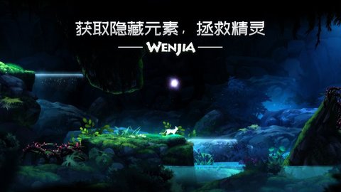WENJIA޵а