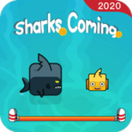 Sharks Coming