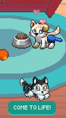 pixel petz°ƻ