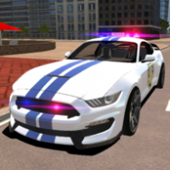 Mustang Police Car Driving 202