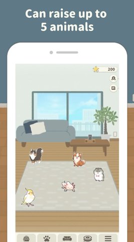 С(Animal Room)