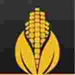 玉米无限资源福利视频