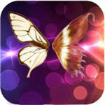 夜蝶app下载汅api免费安卓